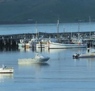 The Apollo Bay Hotel - Palm Beach Accommodation