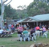 Bush Shack Brewery - Palm Beach Accommodation