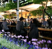Quay Bar - Palm Beach Accommodation