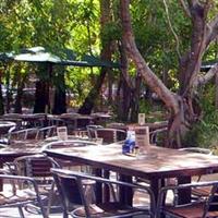Lizard's Outdoor Bar And Grill - Palm Beach Accommodation 3