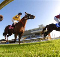 Wyong Race Club - Palm Beach Accommodation