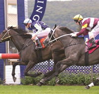 Gosford Race Club - Palm Beach Accommodation