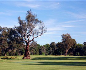 Corowa Golf Club - Palm Beach Accommodation 5