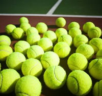 Old Bar Tennis Club - Palm Beach Accommodation