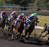 Alice Springs Turf Club - Palm Beach Accommodation