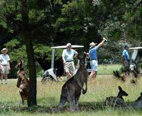 Swan Vale NSW Palm Beach Accommodation
