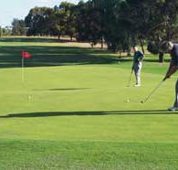 Waikerie Golf Club - Palm Beach Accommodation