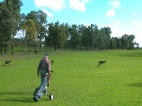 Wangary SA Palm Beach Accommodation