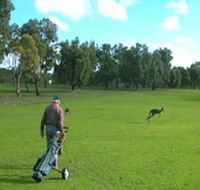 Coffin Bay Golf Club - Palm Beach Accommodation