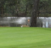 Hepburn Springs Golf Club - Palm Beach Accommodation