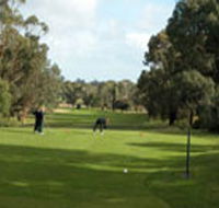 Mount Gambier Golf Club - Palm Beach Accommodation