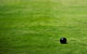 Canberra North Bowling Club - thumb 0