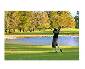 Yowani Country Club Incorporated - Palm Beach Accommodation 0