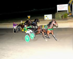 Bathurst Harness Racing Club - Palm Beach Accommodation 0