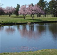 RMC Golf Club - Palm Beach Accommodation