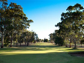 Pata SA Palm Beach Accommodation