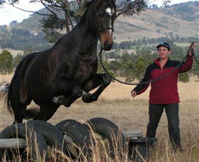 Kings Creek Saddle Club - Palm Beach Accommodation 5