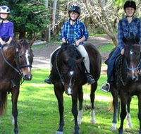 Kings Creek Saddle Club - Palm Beach Accommodation