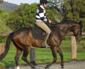 Kings Creek Saddle Club - Palm Beach Accommodation 6