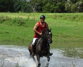 Kings Creek Saddle Club - Palm Beach Accommodation 4