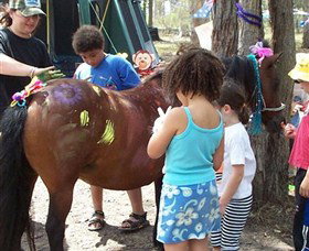 Kings Creek Saddle Club - Palm Beach Accommodation 3
