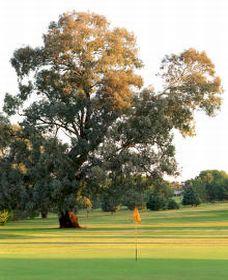 Cowra NSW Palm Beach Accommodation