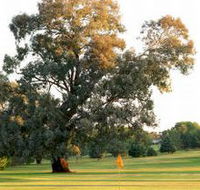 Cowra Golf Club - Palm Beach Accommodation