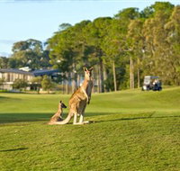 Sanctuary Cove Golf and Country Club - Palm Beach Accommodation