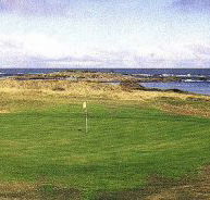 King Island Golf  Bowling Club Incorporated - Palm Beach Accommodation