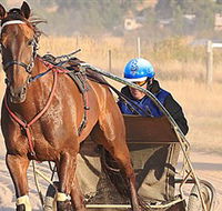 Ballarat  District Trotting Club - Palm Beach Accommodation