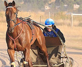 Ballarat & District Trotting Club - Palm Beach Accommodation 0