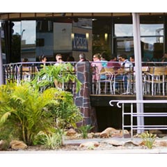 Carpentaria Buffalo Club - Palm Beach Accommodation 0