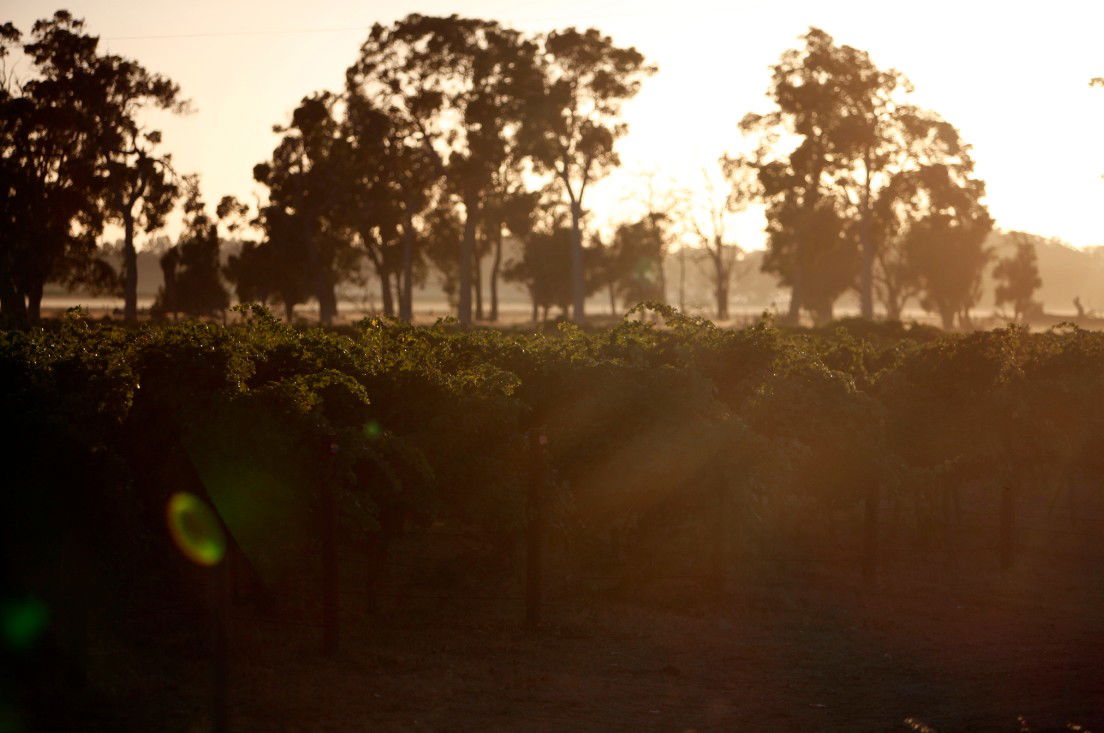 Wilyabrup WA Palm Beach Accommodation