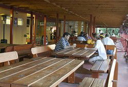 Jamison Hotel - Palm Beach Accommodation 0