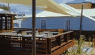 Seagrass Brasserie - Palm Beach Accommodation