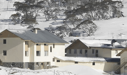 The White Spider - Palm Beach Accommodation