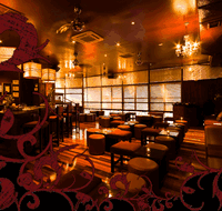 Hippo Lounge Bar - Palm Beach Accommodation