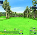 XGOLF - Palm Beach Accommodation