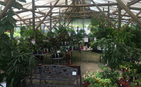 Limberlost Nursery & Garden Centre - Palm Beach Accommodation 1