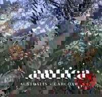 Antica Australis - Winter Fire Festival - Palm Beach Accommodation