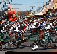 Australian Celtic Festival - Palm Beach Accommodation