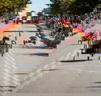 Australian Billy Cart Championships - Palm Beach Accommodation