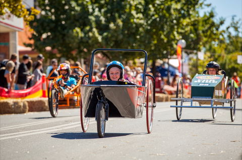 Australian Billy Cart Championships - Palm Beach Accommodation 2