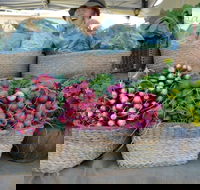 Berry Farmers' Market - Palm Beach Accommodation