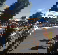 Bunny Bazaar - Palm Beach Accommodation