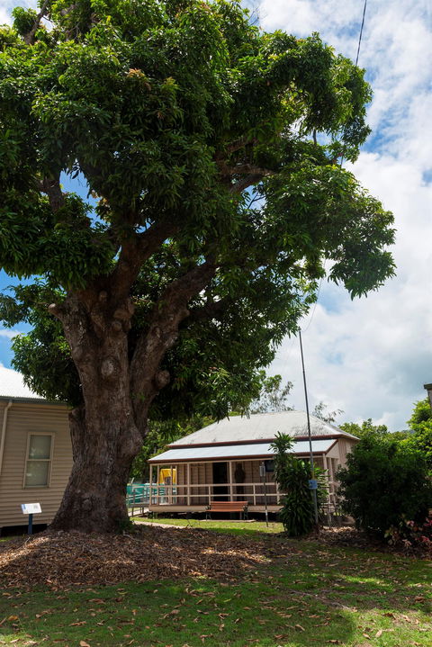 Cardwell Pioneers Tour - Palm Beach Accommodation 1
