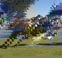 Casino Golf Club Markets - Palm Beach Accommodation