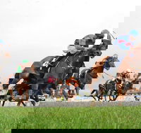 Christmas Cup Race Day - Palm Beach Accommodation
