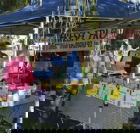 Corowa Rotary Federation Festival Market - Palm Beach Accommodation