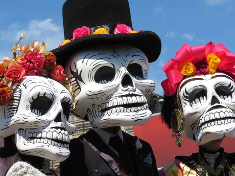 Día De Los Muertos Fiesta - Palm Beach Accommodation 0